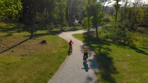 两个小男孩在公园里骑自行车的航拍 — 图库视频影像