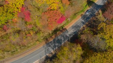 Sonbahar kavramı. Bir yol ile lots-in sarı ve kırmızı renkli ağaçlar yolun çevreleyen tepeler arasında hava atış
