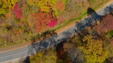 Sonbahar kavramı. Bir yol ile lots-in sarı ve kırmızı renkli ağaçlar yolun çevreleyen tepeler arasında hava atış