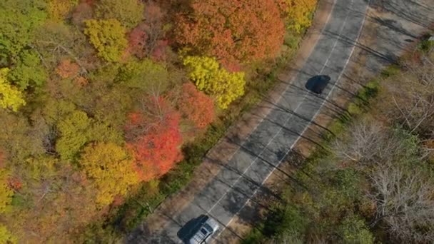 Concepto de otoño. Foto aérea de un camino entre colinas con muchos árboles de color amarillo y rojo que rodean el camino — Vídeo de stock