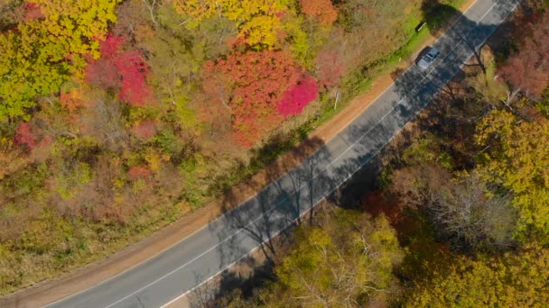 Φθινόπωρο έννοια. Κεραία βολή ενός δρόμου ανάμεσα στους λόφους με πολλές κίτρινες και κόκκινες χρωματιστά δέντρα γύρω από το δρόμο — Αρχείο Βίντεο
