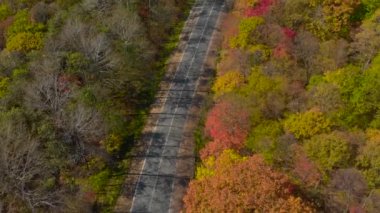 Sonbahar kavramı. Bir yol ile lots-in sarı ve kırmızı renkli ağaçlar yolun çevreleyen tepeler arasında hava atış