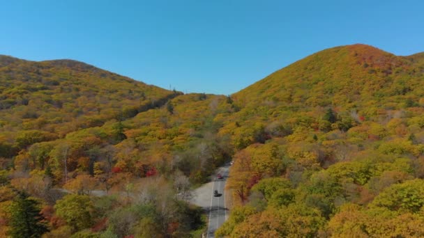 秋のコンセプトです。丘の上の道を囲む黄色と赤の色の木の多くの間で道路の空中ショット — ストック動画