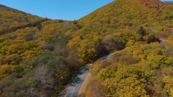 Podzimní koncept. Letecký snímek silnice mezi kopci se spoustou žlutých a červených barevných stromů kolem silnice — Stock video