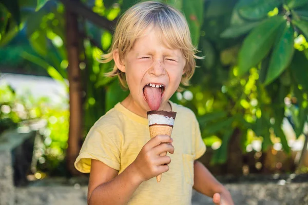 Ritratto all'aperto di ragazzo felice con gelato in cono di cialde. Bambino carino che tiene il gelato e fa la faccia di letizia mentre cammina nel parco — Foto Stock