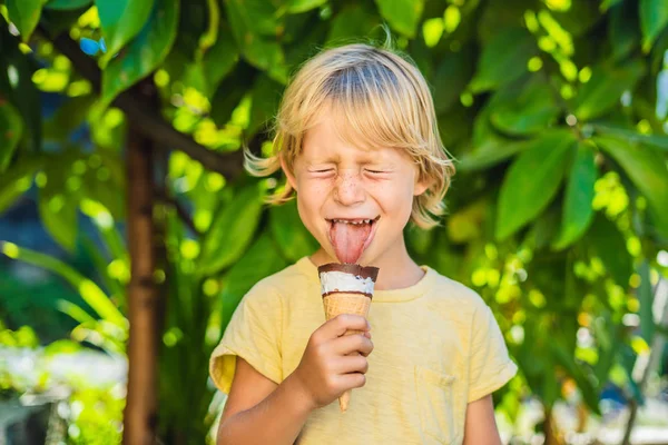 Outdoor portrait of happy boy with ice cream in waffles cone. Cute child holding ice-cream and making gladness face while walking in the park — Stock Photo, Image