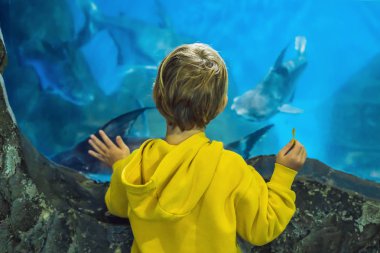 Arkadan Görünüş oceanarium tank içinde yüzme balık balık izlerken küçük çocuk.