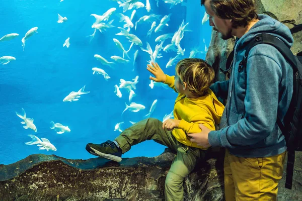 Father Son Visiting Oceanarium Looking Fishes Aquarium — Stock Photo, Image