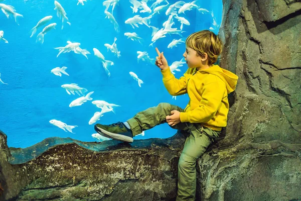 Μικρό Αγόρι Βλέποντας Ρηχά Ψάρια Κολύμπι Στη Δεξαμενή Oceanarium — Φωτογραφία Αρχείου