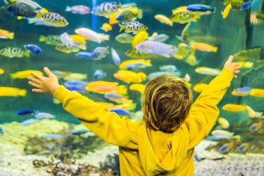 Arkadan Görünüş oceanarium tank içinde yüzme balık balık izlerken küçük çocuk.