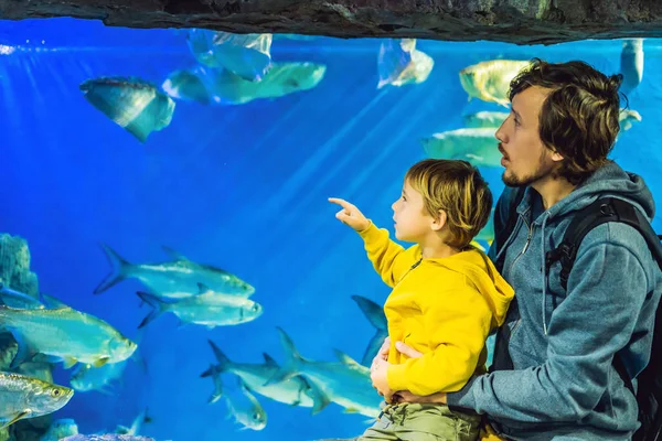 Vader Zoon Bezoeken Oceanarium Vissen Het Aquarium Kijken — Stockfoto
