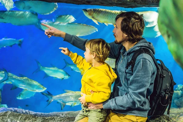 Отец Сыном Посещает Океанариум Ищет Рыб Аквариуме — стоковое фото