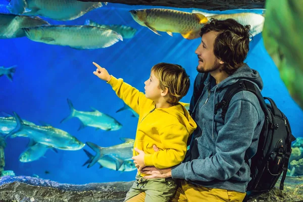 Πατέρας Τον Γιο Επισκέπτονται Oceanarium Και Ψάχνουν Ψάρια Στο Ενυδρείο — Φωτογραφία Αρχείου