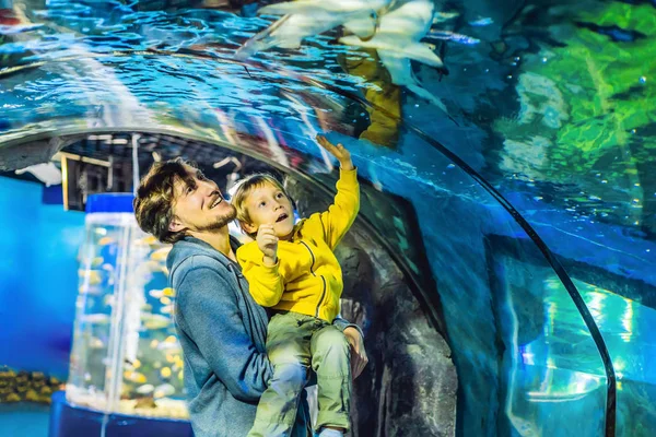 Padre Con Figlio Guardando Vari Pesci Acquario — Foto Stock