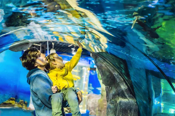 Padre Con Figlio Guardando Vari Pesci Acquario — Foto Stock