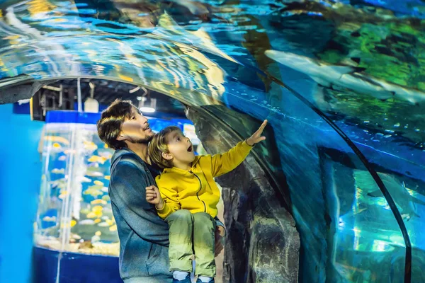 Padre Con Figlio Guardando Vari Pesci Acquario — Foto Stock