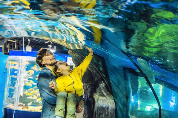 Padre Con Figlio Guardando Vari Pesci Acquario — Foto Stock