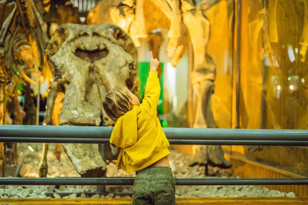 Izgalmas Kisfiú Néz Dinoszaurusz Csontváz Múzeum — Stock Fotó