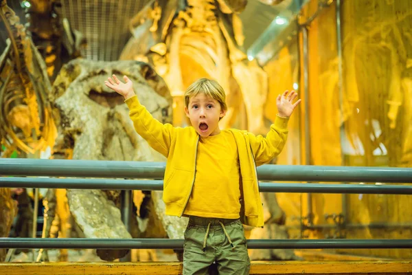 Emocionante Niño Viendo Esqueleto Dinosaurio Museo — Foto de Stock