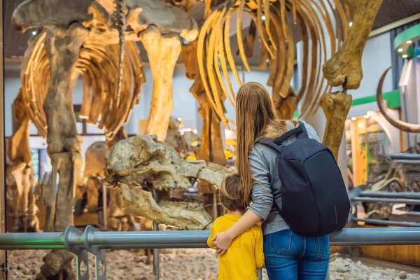 Μητέρα Γιο Του Βλέποντας Σκελετό Δεινοσαύρου Μουσείο — Φωτογραφία Αρχείου