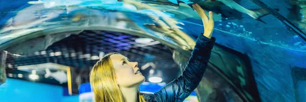 Jonge Vrouw Kijken Naar Vis Tunnel Het Oceanário Lisboa — Stockfoto