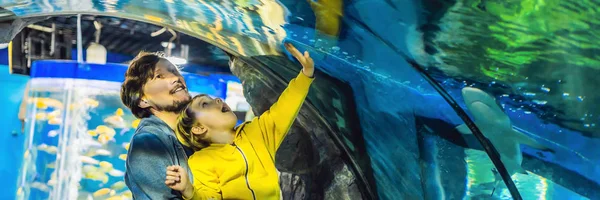 Vater Mit Sohn Besucht Ozeanarium Und Betrachtet Fische Aquarium — Stockfoto