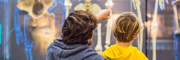 Dad Son Watching Skeletons Ancient Modern People — Stock Photo, Image