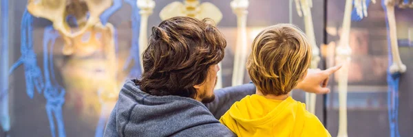 Papá Hijo Viendo Esqueletos Gente Antigua Moderna —  Fotos de Stock