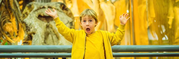 Emocionante Niño Viendo Esqueleto Dinosaurio Museo — Foto de Stock