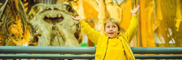 Захватывающий Маленький Мальчик Смотрит Скелет Динозавра Музее — стоковое фото