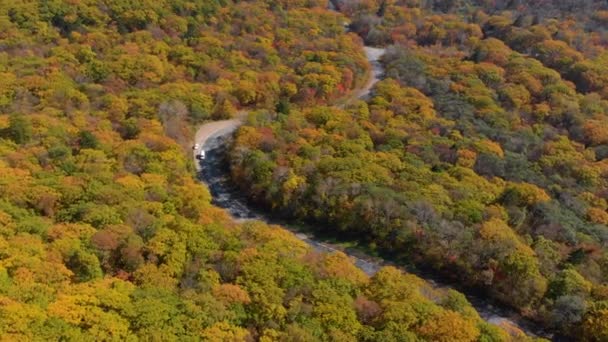 乡村周围有黄色和红色秋树森林的丘陵之间道路的鸟图 — 图库视频影像