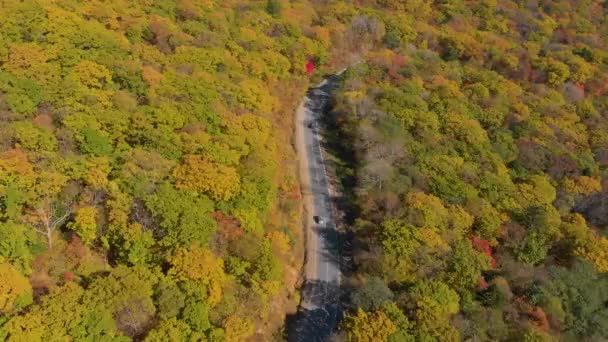 Luftaufnahme Der Straße Zwischen Hügeln Mit Wald Von Gelben Und — Stockvideo