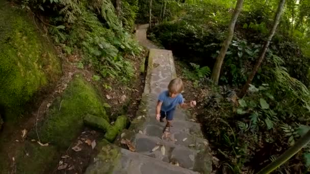 Маленький Мальчик Наблюдает Природным Парком Обезьяний Лес Деревне Убуд Бали — стоковое видео