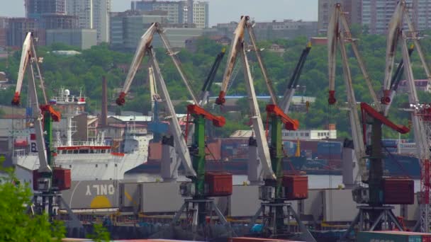 Vladivostok Russia August 2018 Commercial Port Cranes Moving Containers — Stock Video