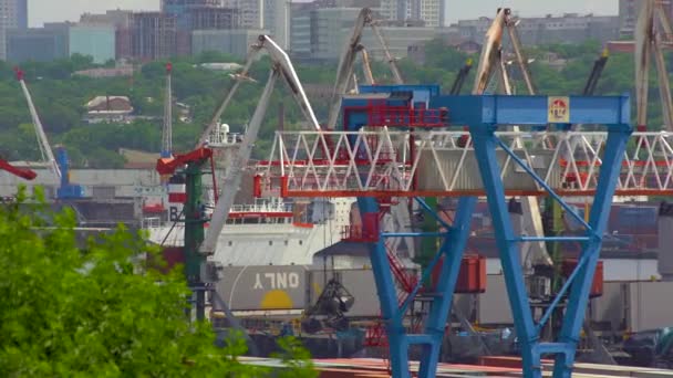 Vladivostok Rusia Agosto 2018 Puerto Comercial Con Grúas Transportando Contenedores — Vídeos de Stock