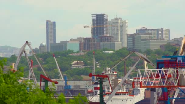 Vladivostok Russie Août 2018 Port Commercial Avec Grue Industrielle Marche — Video