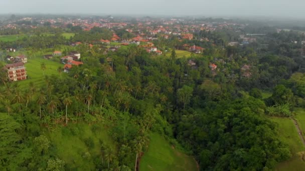 Luchtfoto Van Campuhan Ridge Onder Dramatische Hemel Huizen Van Ubud — Stockvideo