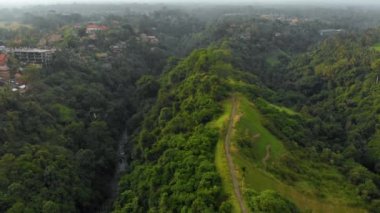 Bali Adası, Endonezya Ubud köyde sisli havada sanatçılar yürümek Campuhan Ridge, havadan görünümü