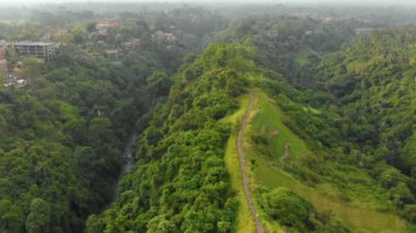 Bali Adası, Endonezya Ubud köyde sisli havada sanatçılar yürümek Campuhan Ridge, havadan görünümü