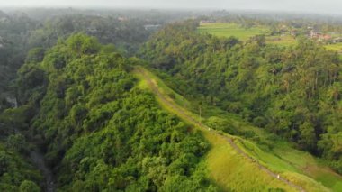 Bali Adası, Endonezya Ubud köyde sisli havada sanatçılar yürümek Campuhan Ridge, havadan görünümü