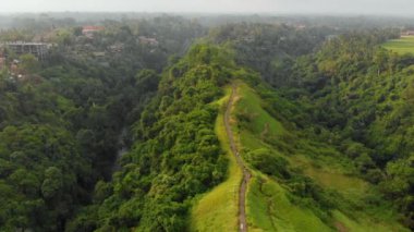 Bali Adası, Endonezya Ubud köyde sisli havada sanatçılar yürümek Campuhan Ridge, havadan görünümü