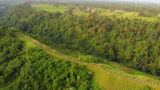 インドネシア バリ島ウブド村にアーティスト Campuhan 尾根歩きの航空写真 — ストック動画