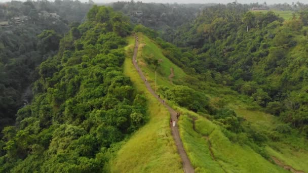 在印度尼西亚巴厘岛乌布村的雾蒙蒙的天空下 艺术家们在坎普汉岭漫步的鸟图 — 图库视频影像