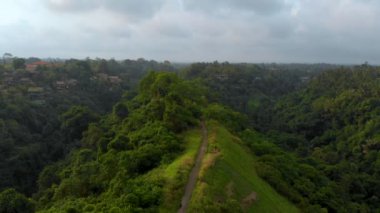Bali Adası, Endonezya Ubud köyde sisli havada sanatçılar yürümek Campuhan Ridge, havadan görünümü