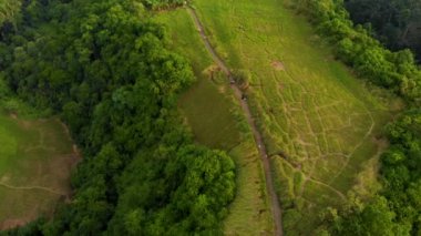 Bali Adası, Endonezya Ubud köyde sanatçılar yürümek Campuhan Ridge, havadan görünümü