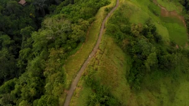 Légi Felvétel Művészek Séta Campuhan Ridge Ubud Village Bali Szigetén — Stock videók