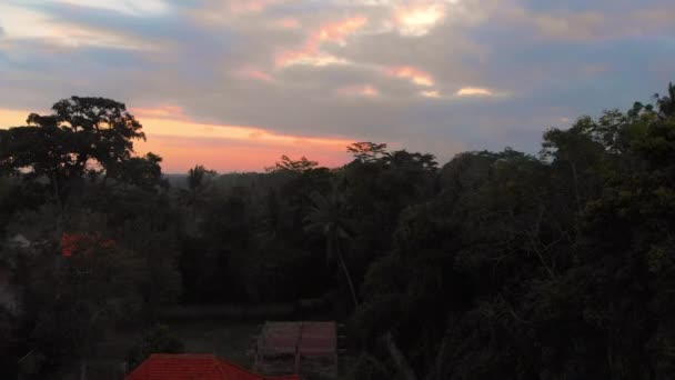 Vue aérienne d'une zone rurale dans le village d'Ubud sur l'île de Bali — Video