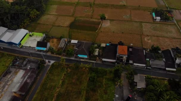 Luftaufnahme einer ländlichen Gegend im Ubud-Dorf auf der Insel Bali — Stockvideo