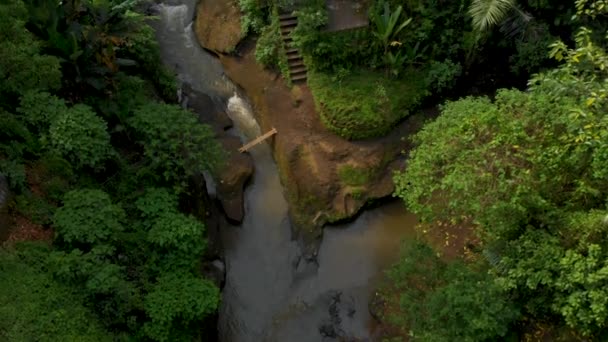 バリ島ウブドのプラ グヌン Lebah 寺院のまわりの熱帯川の空中ショット — ストック動画