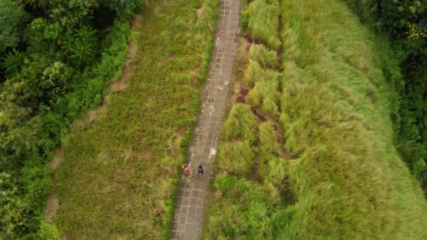 Vue aérienne d'une famille marchant sur la promenade des artistes - Campuhan Ridge Walk dans le village d'Ubud sur l'île de Bali — Video